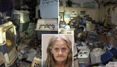 Hoarder mail carrier trapped over 100 stolen pets in Florida home
