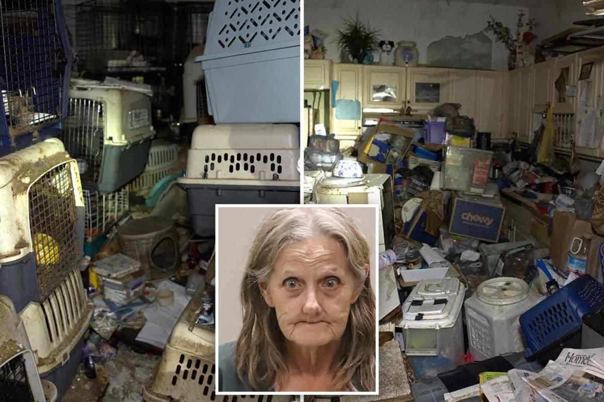 Hoarder mail carrier trapped over 100 stolen pets in Florida home