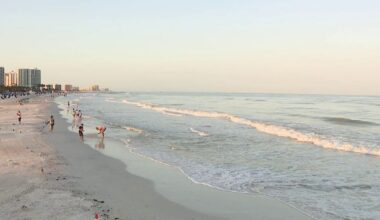 Event travel drives record $36 million spring tax collection in Pinellas County