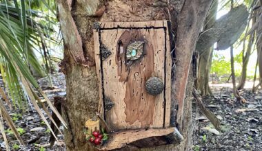 DIY your own tiny fairy door at Leu Gardens this weekend