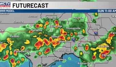 Showers and storms continue for your Sunday for Tallahassee, North Florida and South Georgia☔