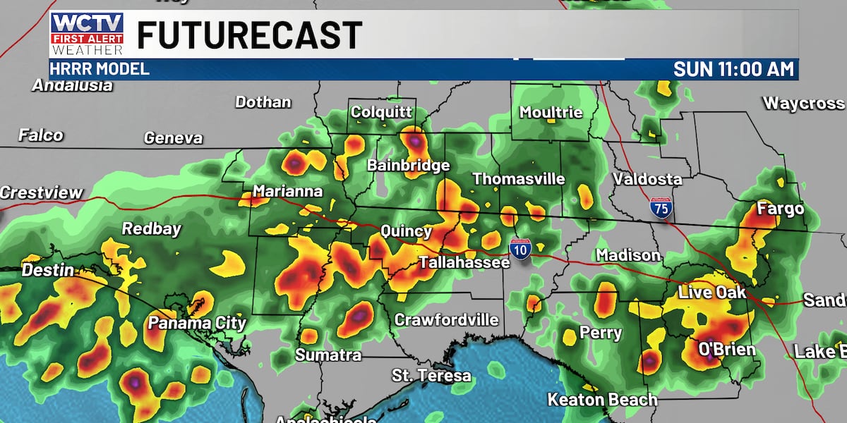 Showers and storms continue for your Sunday for Tallahassee, North Florida and South Georgia☔