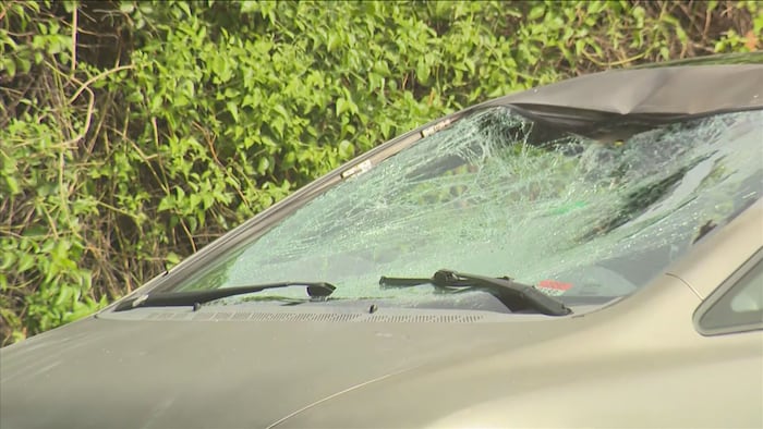 Scooter rider hospitalized after being struck by vehicle in northwest Miami-Dade