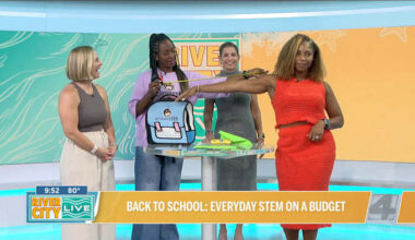 Back to school: Everyday STEM on a budget