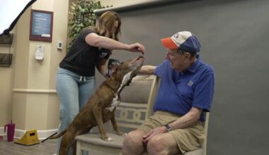 Senior dogs paired with senior residents for shelter adoption push