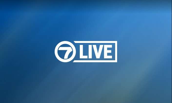 Watch 7News Live - WSVN 7News | Miami News, Weather, Sports