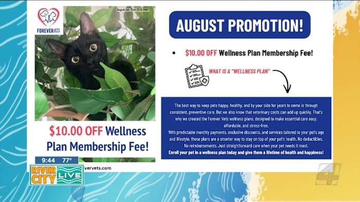 Forever Vets is building something different — and Florida pet owners are taking notice