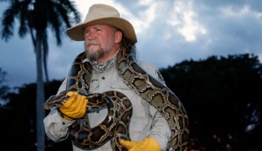 Tom Rahill captures 96 Burmese pythons in 10 days to win 2026 Florida Python Challenge