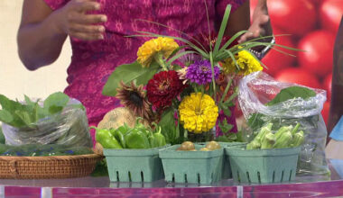 Eartha's Farm & Market growing hope for Jacksonville