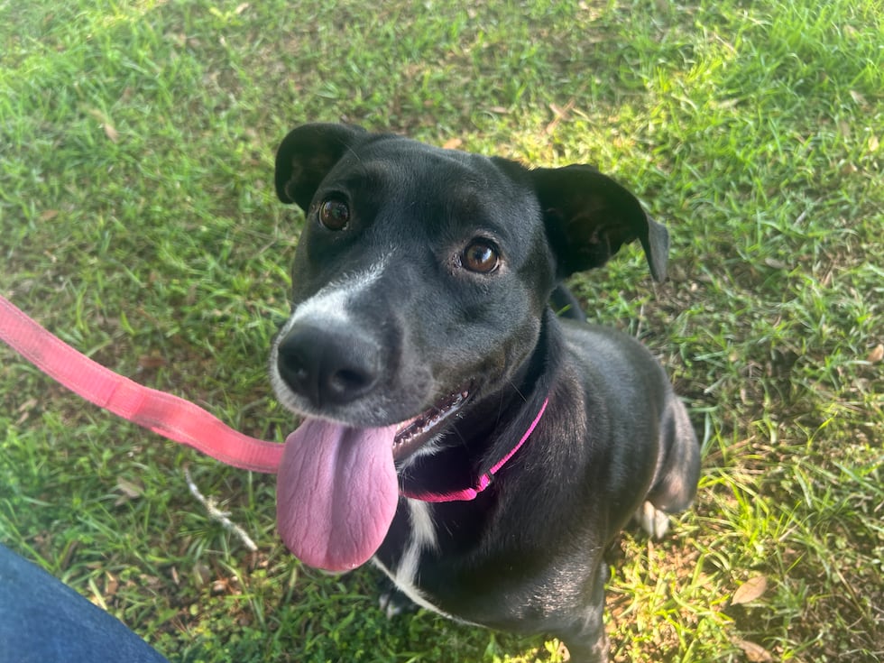 Maeve is sweet and spunky!