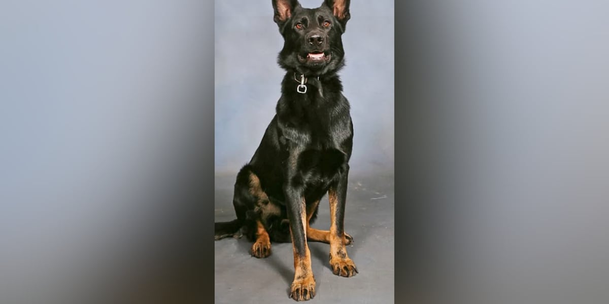 K-9 Ace returns home after being shot while protecting Polk County deputies