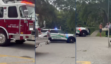 Good Samaritan recounts saving woman after alligator bite