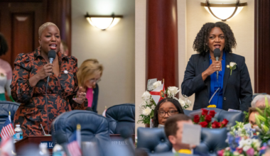 The race between Tampa Bay's Fentrice Driskell and Michele Rayner might be the Legislature’s most competitive