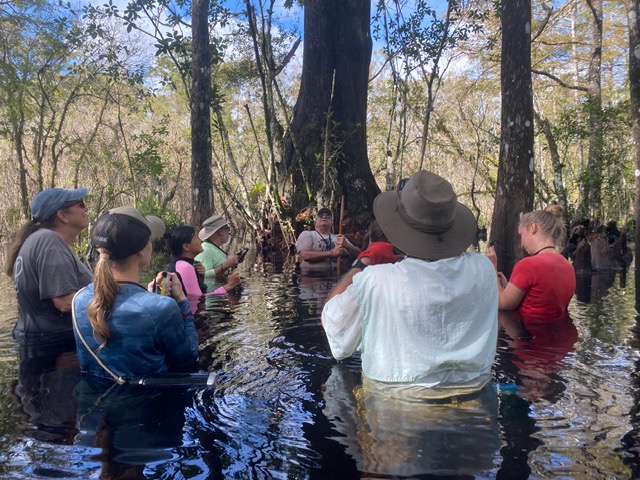 Six Mile Cypress Slough wet walks season opens Saturday | News, Sports, Jobs