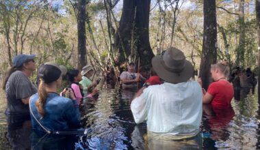 Six Mile Cypress Slough wet walks season opens Saturday