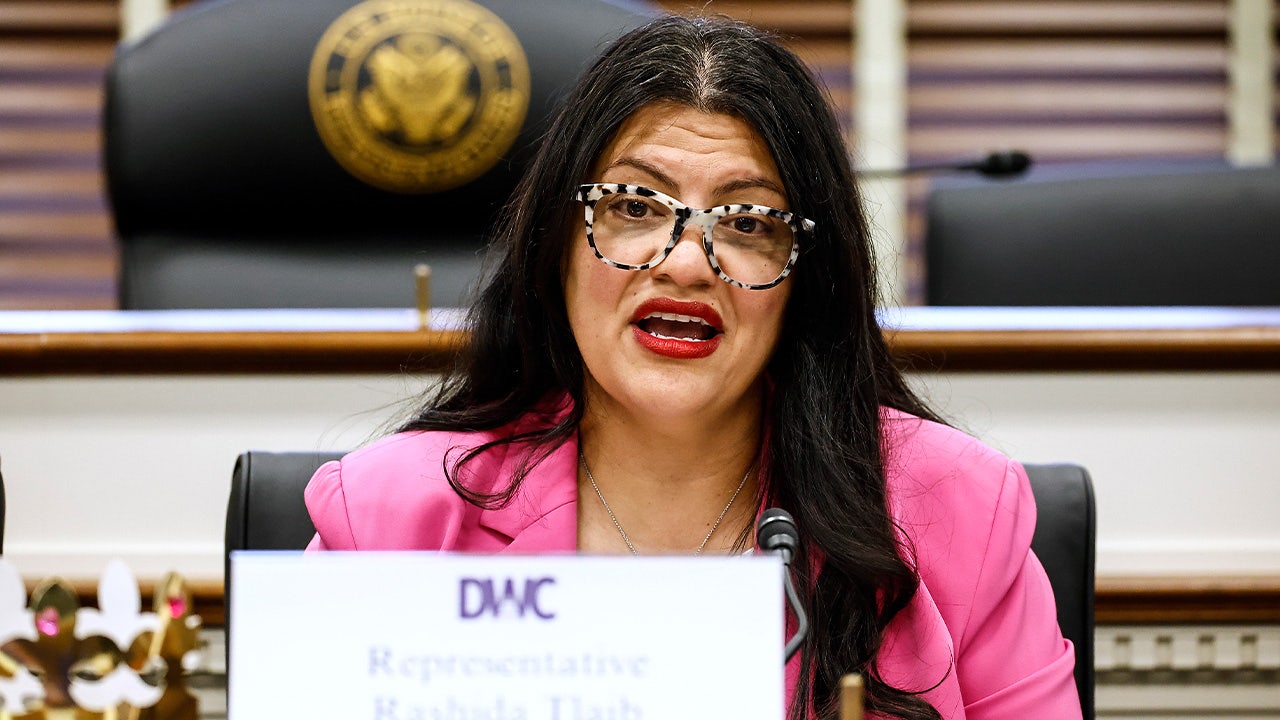 Rashida Tlaib rallies in Florida to unseat Moskowitz, Wasserman Schultz