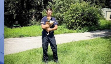 Firefighters rescue dog trapped in Marion County sinkhole