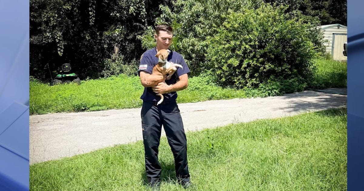 Firefighters rescue dog trapped in Marion County sinkhole