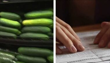 Expert weighs in as SNAP cuts hit Florida families hard