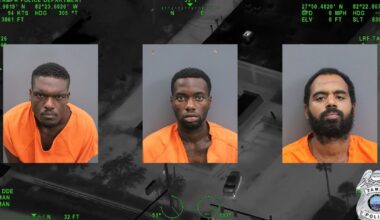 Gibsonton break-in leads to gun discharge during arrest