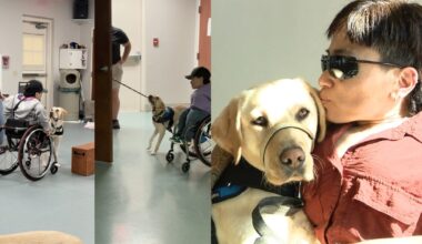 Canine Companions pair 13 service animals with human companions: 'such a joyful gift'