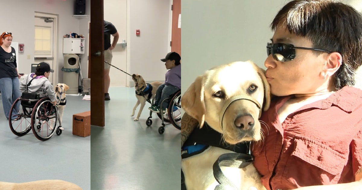 Canine Companions pair 13 service animals with human companions: 'such a joyful gift'