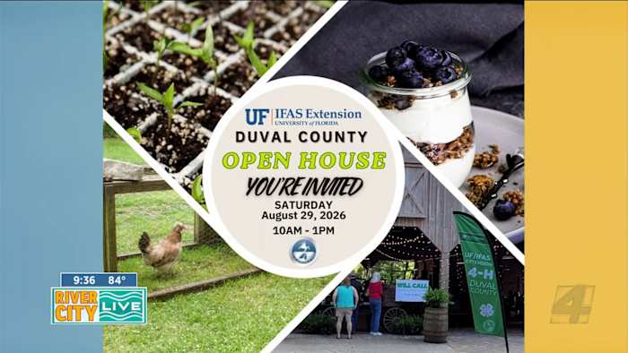 Hands on learning at the Duval County 4H Open House