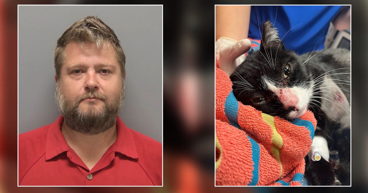 Florida man arrested after shooting cat with BB gun: LCSO