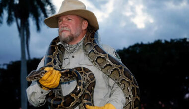Hunter Sets Florida Python Challenge Record with 96 Snakes