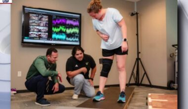 USF researchers developing AI-powered knee sleeve to help prevent ACL injuries