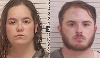 Flock camera helps nab Florida corrections officers in LEGO heist: deputies