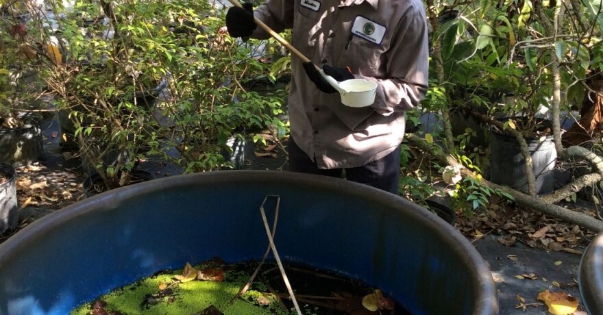 Mosquito surveillance in Palm Beach. 