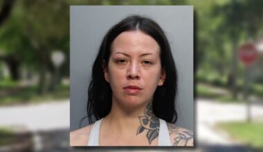 Behind-the-wheel brawl between women in Coral Gables leads to crash into tree, arrest, cops say
