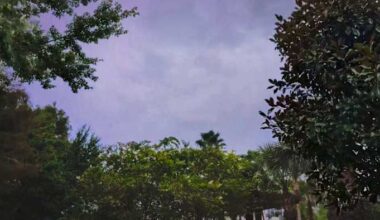 Winter Park family has near-death experience when almost being struck by lightning