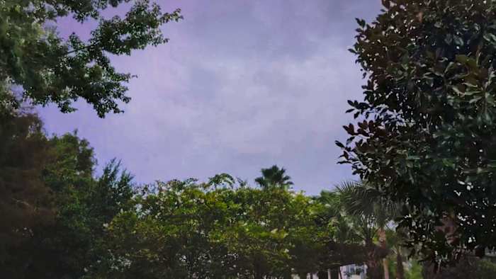 Winter Park family has near-death experience when almost being struck by lightning