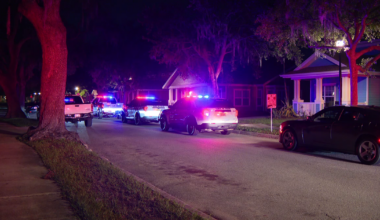 Tampa stabbing leaves man hospitalized, 1 arrested: Police