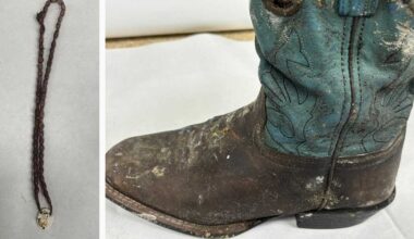 OCSO seeks public's help identifying human remains
