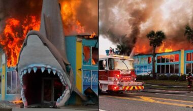 Shark-shaped souvenir shop catches fire in Florida Panhandle