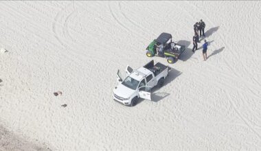 Man drowns in Hallandale Beach; appears to have been diving before losing consciousness, police say