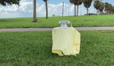 Rotary phone collects 'Stories of Humanity' at St. Pete park
