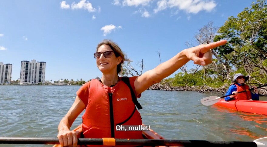 Archaeologist Theresa Schober points out a mullet as she explains to WGCU journalist Janine Zeitlin how the Calusa people thrived off the estuaries surrounding their Mound House settlement, in a scene from Decoding Ancient Florida: Mound House.