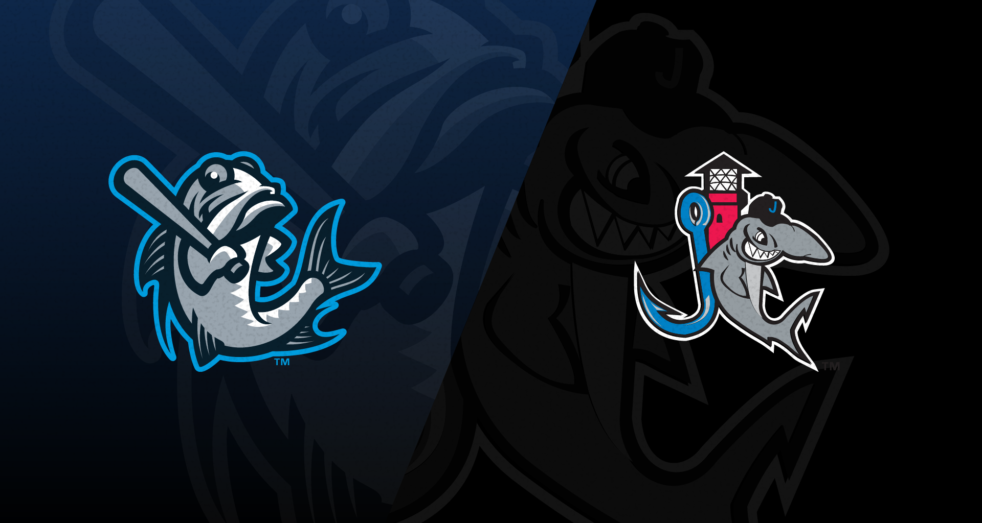 Watch Tampa Tarpons @ Jupiter Hammerheads on Bally Sports Live