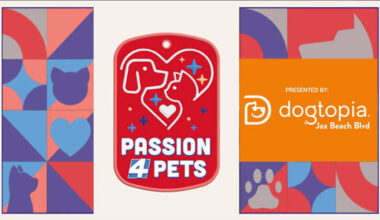 Dogtopia of Jacksonville Beach Blvd. puts safety, cleanliness and dog happiness first