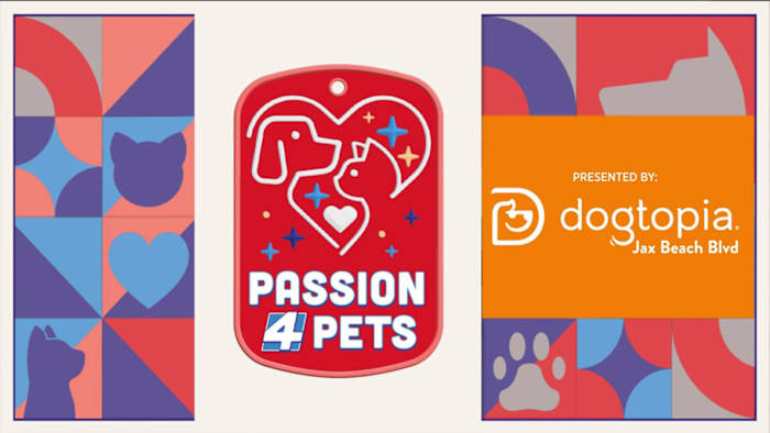 Dogtopia of Jacksonville Beach Blvd. puts safety, cleanliness and dog happiness first