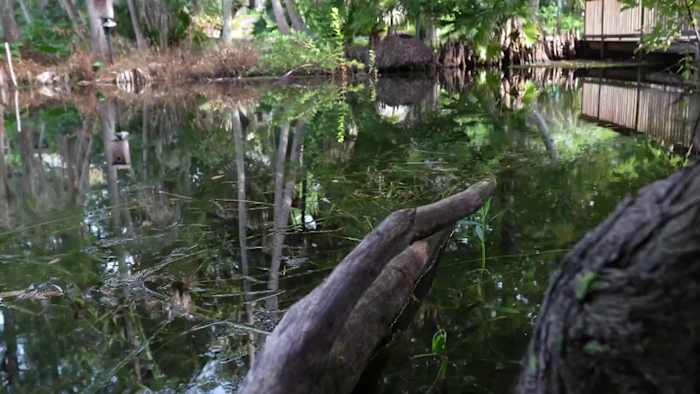State funding will help improve water quality at Winter Park’s Mead Gardens