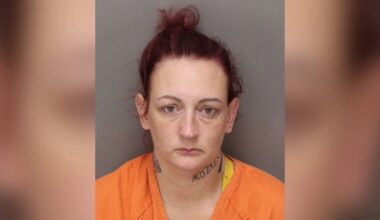 Deputies: Woman shoplifted at St. Petersburg Target while kids sat in hot car