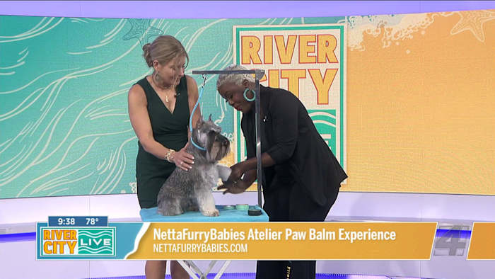 NettaFurryBabies Atelier Paw Balm Experience