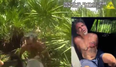 'He brought us to the bad guy': K-9 Deputy Cane helps arrest shoplifting suspect in Martin County