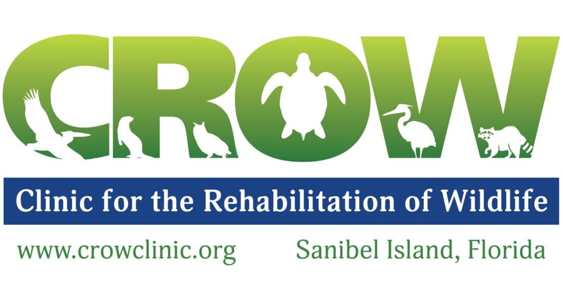CROW welcomes new veterinary interns - SANIBEL-CAPTIVA