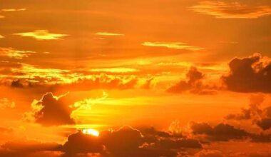 Fun things to do in South Florida